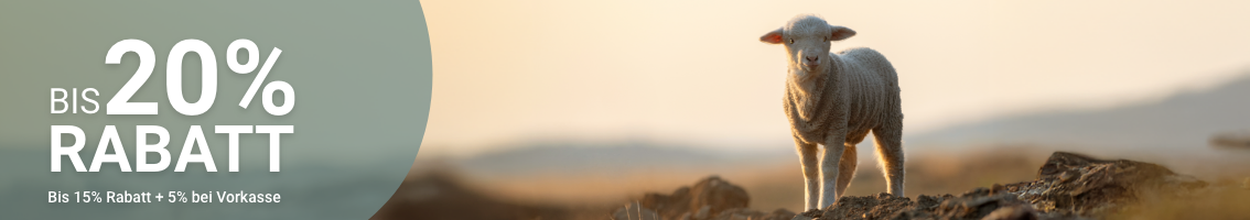 Landigpage Banner